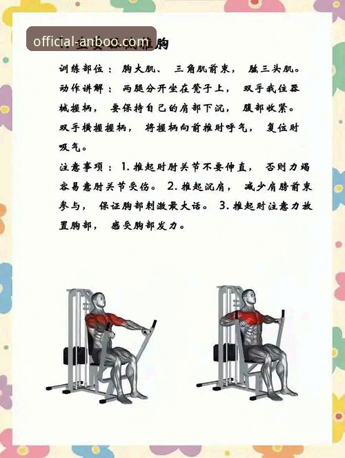 安博体育用户手册详解：从入门到精通的操作指南