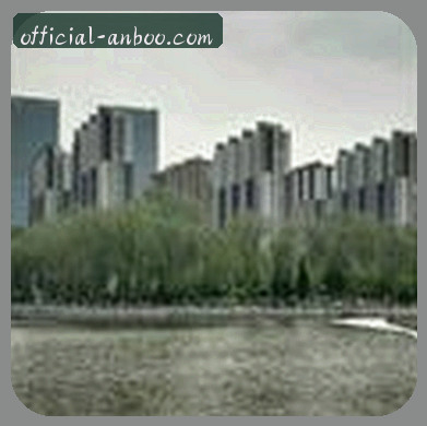 刘洋